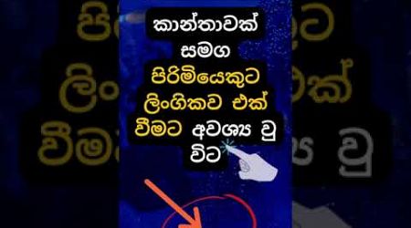 දන්නවද එයාලා කරන දේ 