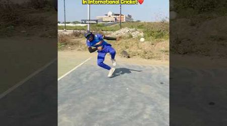 International vs Gully Cricket Runout