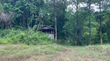 Nearly 11 Rai of Land For Sale in Thayu, Phangnga