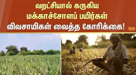 Farmers Request To Government | No Water | Sun News | madurai