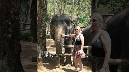 Phuket elephant care (Naithon Camp) #phuketelephantcare #elephant #phuketthailand #ช้างภูเก็ต