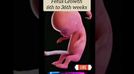 3D Imaging of Fetus growth #pregnancyultrasound #pregnant #ultrasoundscans #baby #medical