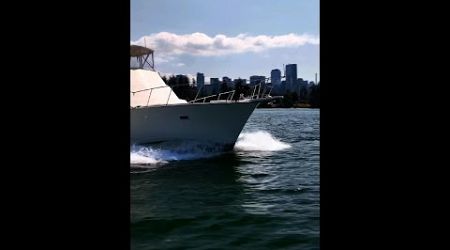 Ultimate Sport Fishing Yacht: Post 46 Convertible