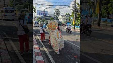 Small Dragot at Phuket Vegetarian Festival