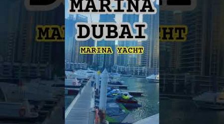 Marina Dubai #dxbdubai #dubai #marina #marinabeach #yacht #yachts #lifeindubai #entertainment #short