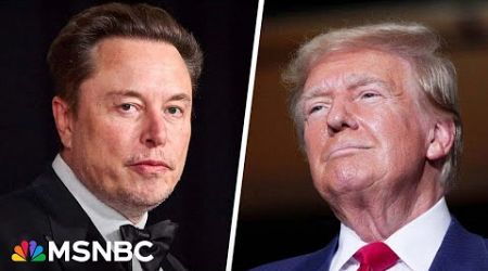 &#39;An embarrassing spectacle&#39;: how Elon Musk transformed X into a political tool for Trump