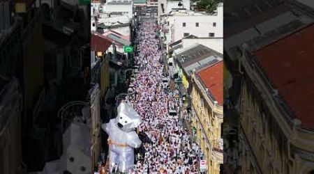 7 ตุลาคม 2567 พิธีแห่พระ ศาลเจ้าท่าเรือ Phuket Vegetarian Festival 2024