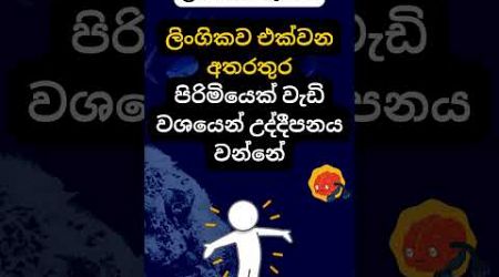 දන්නවද ඒ මොකෙටද කියලා 