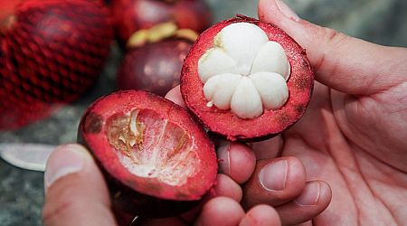 Why mangosteen, the viral TikTok fruit, is so expensive