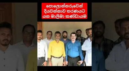 පොලොන්නරුවෙන් දියවන්නාව තරණයට යන මාලිමා කණ්ඩායම #presiden2024 #malimawa #news1st #akd #politics