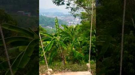 Jungle Trekking View in Phuket, Thailand #travel #phuket #thailand