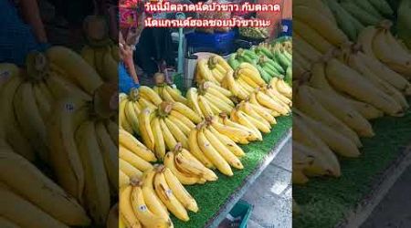 Baokow Market South Pattaya ,ตลาดนัดบัวขาว / Grand Hall Market Soi Buakao #พัทยาวันนี้