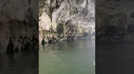 Canoeing in Phang Nga Bay Phuket Thailand