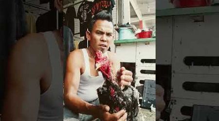 Lagi mandi siang ayam Bangkok shamo eropa asli kesayangan saya supaya segar badan nya bosku hehehe