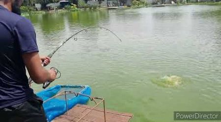 Chalong fishing park 2024, Fishing in Phuket