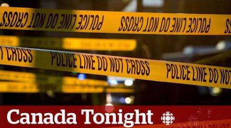 Business leaders call on government to tackle crime, addiction in downtowns | Canada Tonight