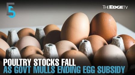 EVENING 5: Govt mulls ending egg subsidy