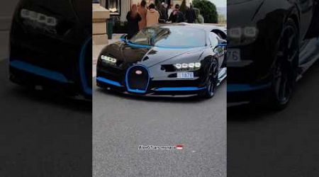 Billionaire with amazing Bugatti Chiron 