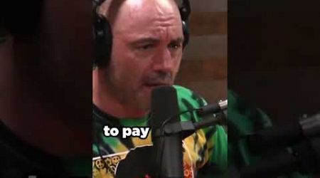 Joe Rogan talks about the importance of education| #education #shorts