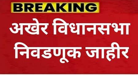 #breakingnews आतुरता संपली महाराष्ट्र विधानसभा निवडणूक जाहीर #politics #ठळकबातम्या #ताज्याबातम्या