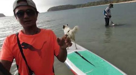 KATA SURF SCHOOL SUP DOG COVID TIMES PHUKET THAILAND