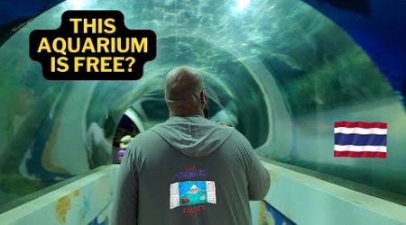 A FREE Aquarium in Thailand