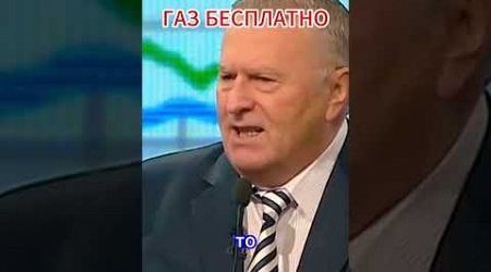 в таможенном союзе был бы газ бесплатно #россия #politics #украина #жириновский #putin