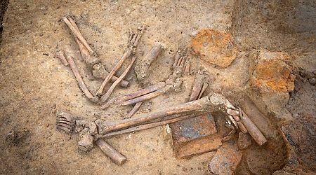 Disturbing Pile of Amputated Limbs Uncovered at Battle of Waterloo Site