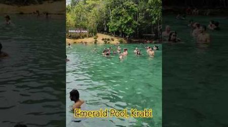 Emerald Pool Krabi #shorts #krabi #thailand #phuket