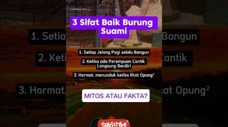 #quotes #faktamenarik #faktaunik #katakatabijak #trending #entertainment #viralvideo