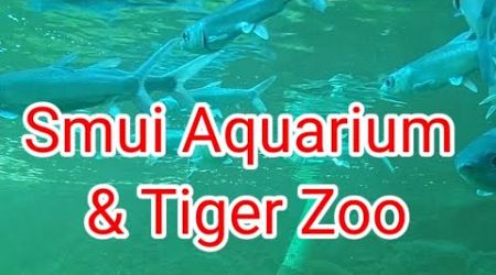 Travel to Samui and enjoy the most impressive activities at Samui Aquarium and Tiger Zoo