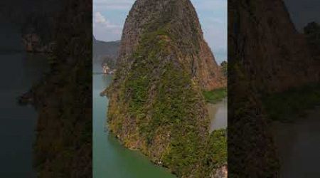 MANGROVE FOREST PHANG NGA