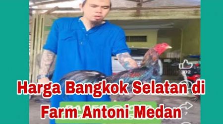 Harga Bangkok Selatan di Putra Jaya Farm