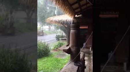 Así llueve en Kho Samui, Tailandia, Octubre 2024