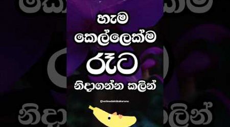 හම්බෝ ඔයාට හිතාගන්නවත් බැරිවෙයි මේක 