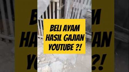 Gajih pertama dari YouTube Alhamdulillah bisa beli Ayam Bangkok Super #ayambangkokimport