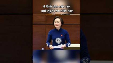 8 lãnh đạo cấp cao quê Nghệ An hiện nay