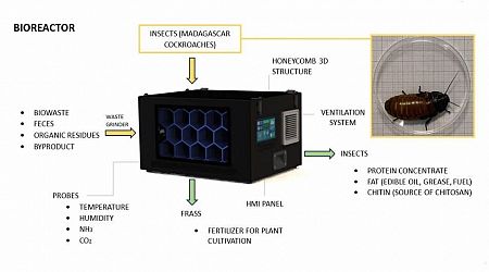 Cockroaches in Space: Waste Processing and a Healthy Protein Source Combined