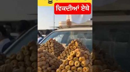 ਖਜੂਰਾਂ ਥੋਕ ਤੇ #maanbrar #viral #popular #soudiarabia #arabiccountry #dubai #panjab #farming #kisaan