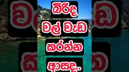 ඔයගේ කෙනත් ආසද 