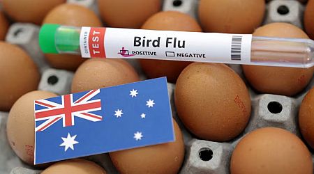 Australia commits S$56.3m to protect against bird flu