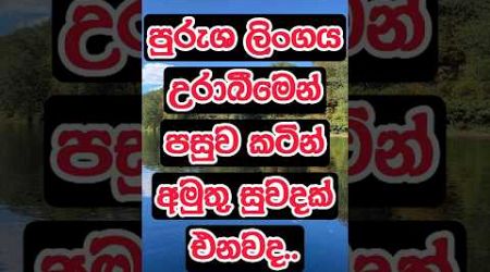 ඔයටත් දැනෙනවා නේද 