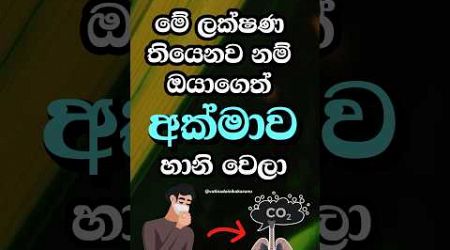 ඔයාගෙත් මේ ලක්ෂණ තියෙනවද 