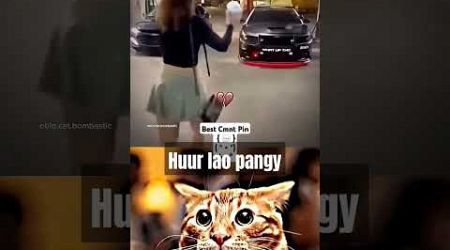 #automobile #edit #cat #memes #funny #smartphone #alightmotion #popular #mrbombastic #trending