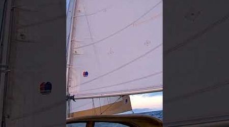 Contessa 26 sailing #singlehandedsailing #sailboat #Slattingsails