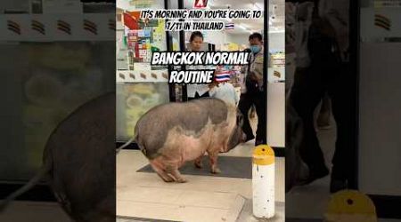 This is normal in Thailand 