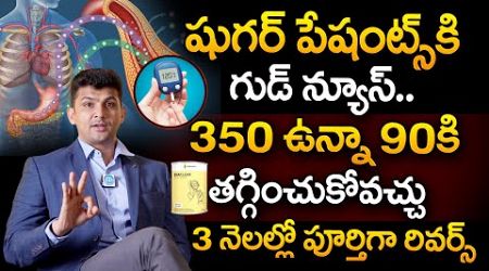 షుగర్ పేషంట్స్ కి గుడ్ న్యూస్.. | Best Medicine To Reverse Diabetes | DIACLEAR | Praanaa Pain Clinic