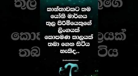 කොච්චර වෙලාවක් පුලුවන් ද 