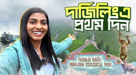 দার্জিলিং এর চিড়িয়াখানা ভ্রমণ | Bengali solo travel vlog | Jajabor vlogs | Darjeeling - 02