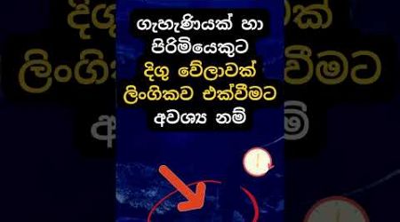 හම්බෝ කරන්න කරන්න ආස හිතෙයි 